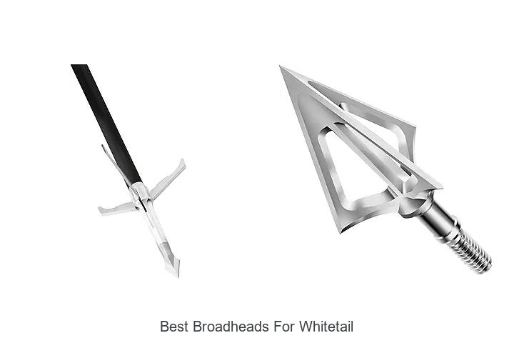 Top 12 Best Broadheads For Whitetail That Hunters Swear By