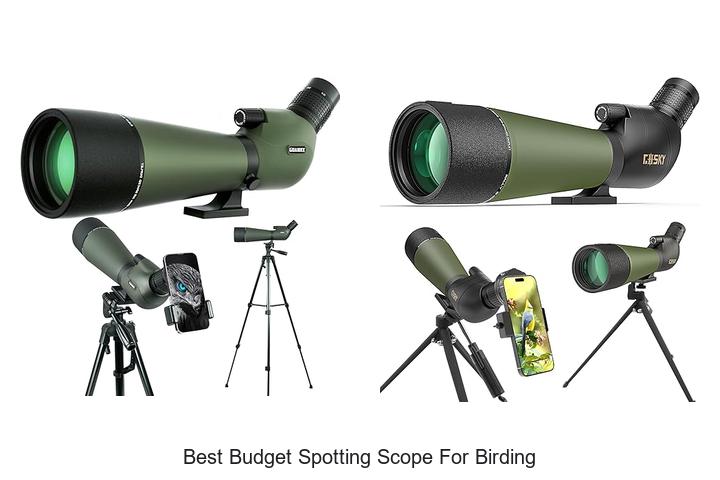 Top 12 Best Budget Spotting Scope for Birding Revealed!