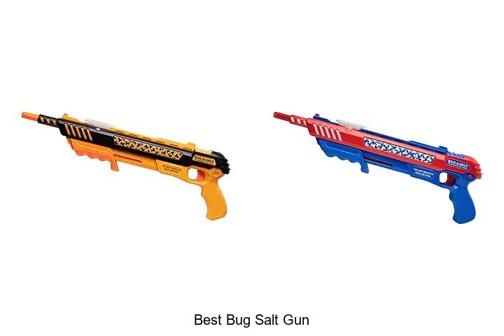 Top 12 Best Bug Salt Gun For Quick Bug Zapping