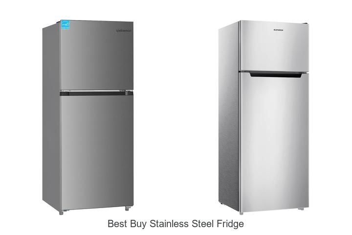 Top 12 Best Buy Stainless Steel Fridge You Must See