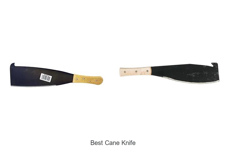 Top 12 Best Cane Knife That Will Blow Your Mind