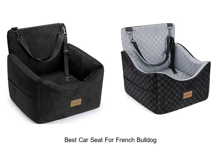 Top 13 Best Car Seat For French Bulldog You Must See