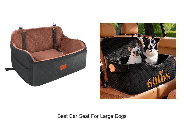 Top 13 Best Car Seat For Large Dogs You Must See
