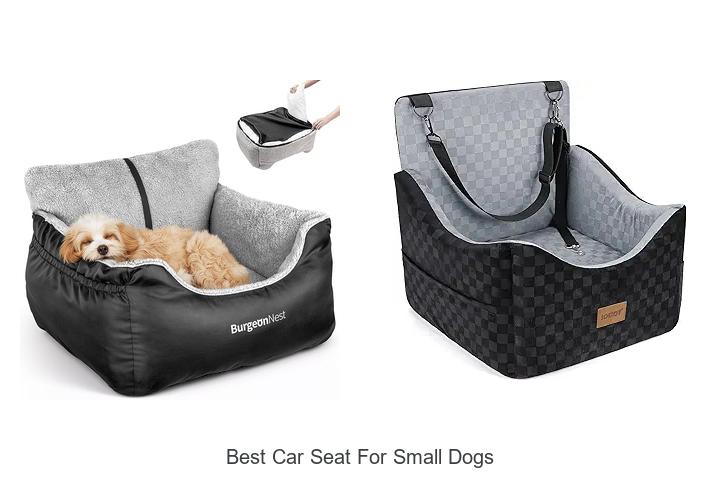 Top 15 Best Car Seat For Small Dogs You Must See!