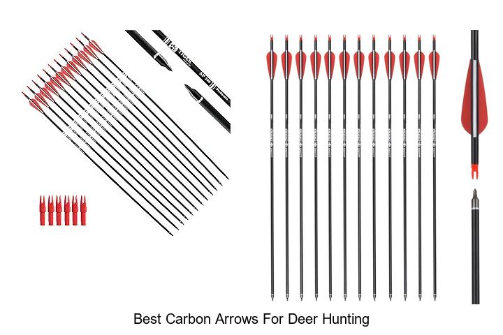 Top 12 Best Carbon Arrows for Deer Hunting You Need Now