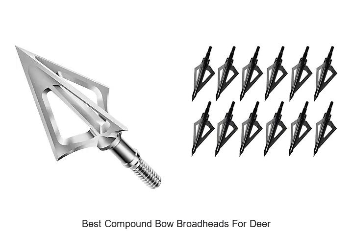Top 12 Best Compound Bow Broadheads for Deer That Kill!