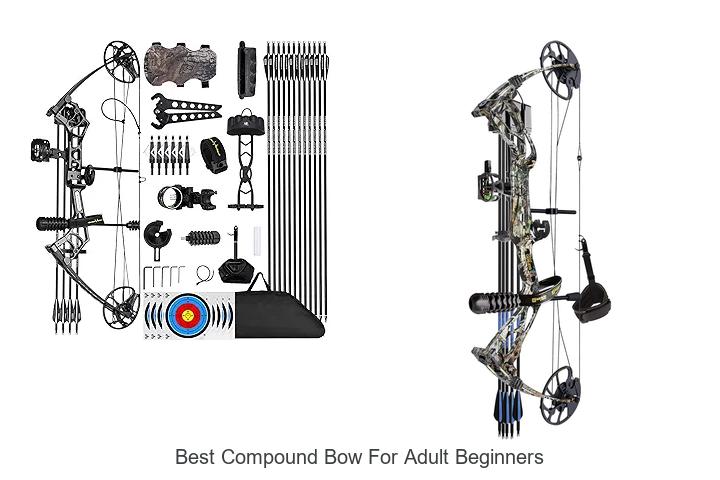 Top 12 Best Compound Bow For Adult Beginners You Need Now
