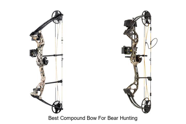 Best Compound Bow For Bear Hunting That Crushes Limits