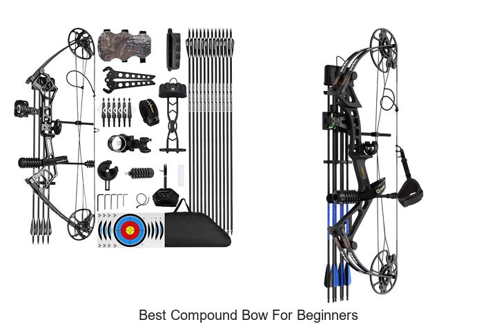 Best Compound Bow For Beginners That Crushes All Doubts
