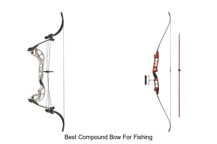 Top 12 Best Compound Bow For Fishing You Can’t Miss!