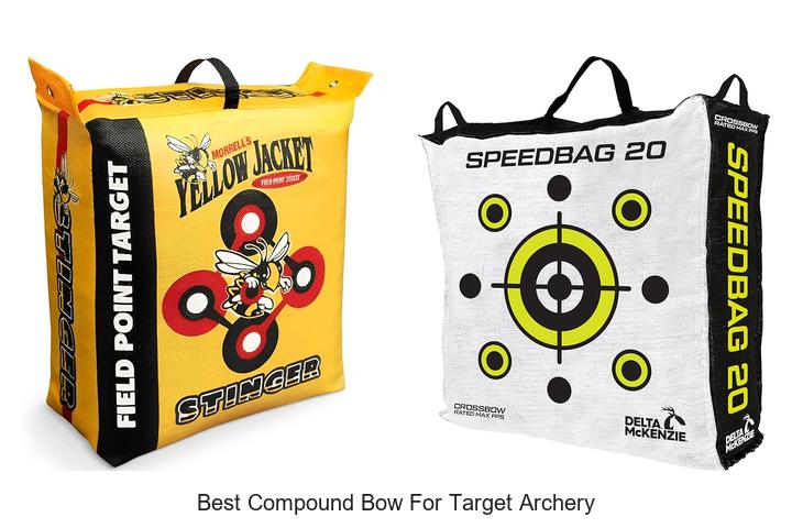 Best Compound Bow For Target Archery That Shoots Bulls-Eye!