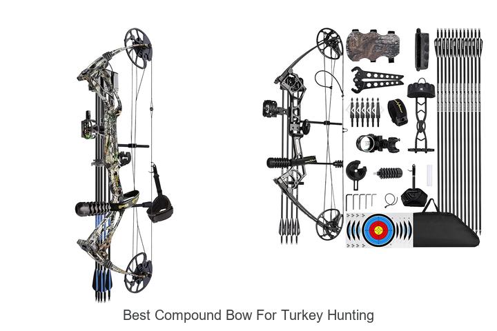 Top 12 Best Compound Bow For Turkey Hunting You Need Now