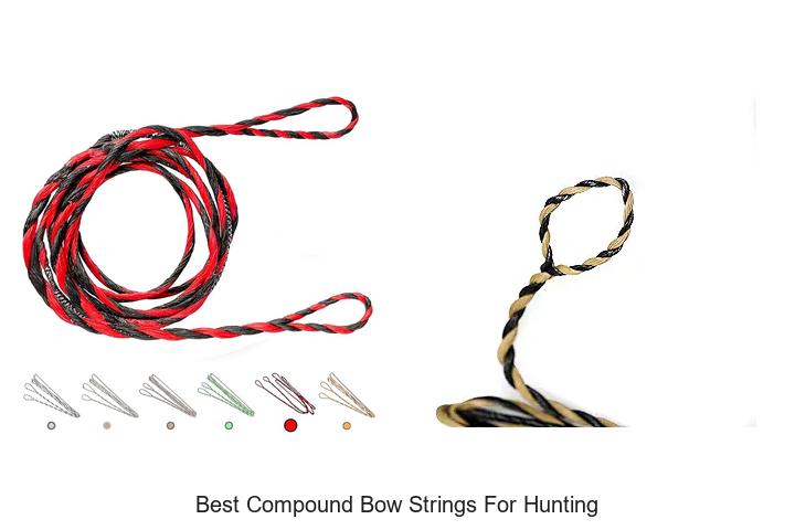 Top 12 Best Compound Bow Strings for Hunting You Need Now