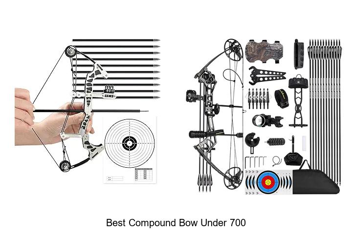 Best Compound Bow Under 700 That Will Blow Your Mind