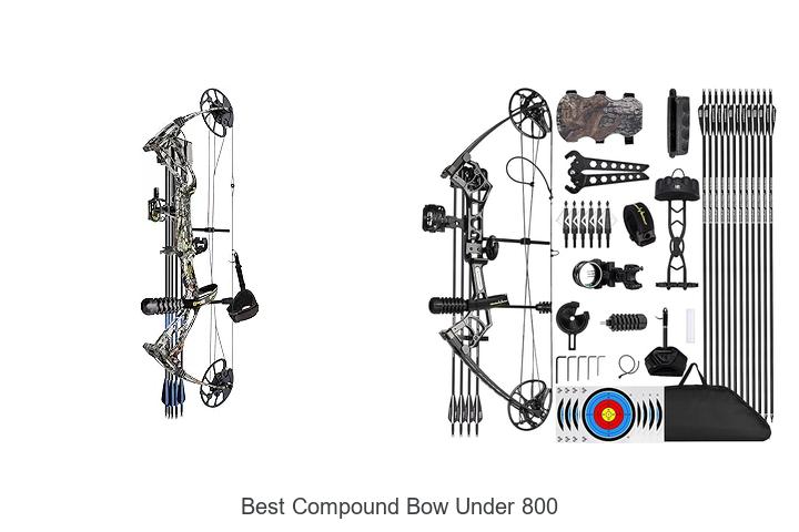 Best Compound Bow Under 800 That Will Blow Your Mind!