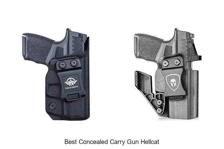 Top 12 Best Concealed Carry Gun Hellcat Secrets Revealed!
