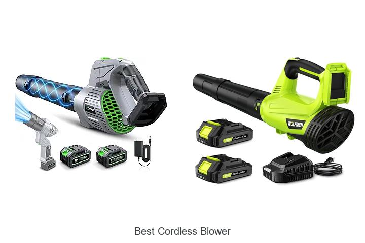 Top 15 Best Cordless Blower That Will Blow You Away