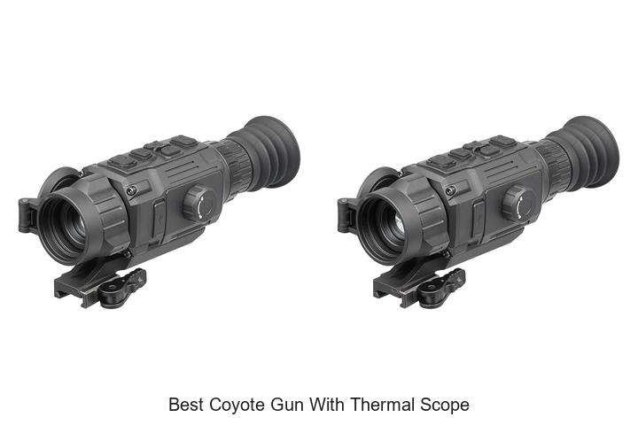 Best Coyote Gun With Thermal Scope That Hunters Swear By