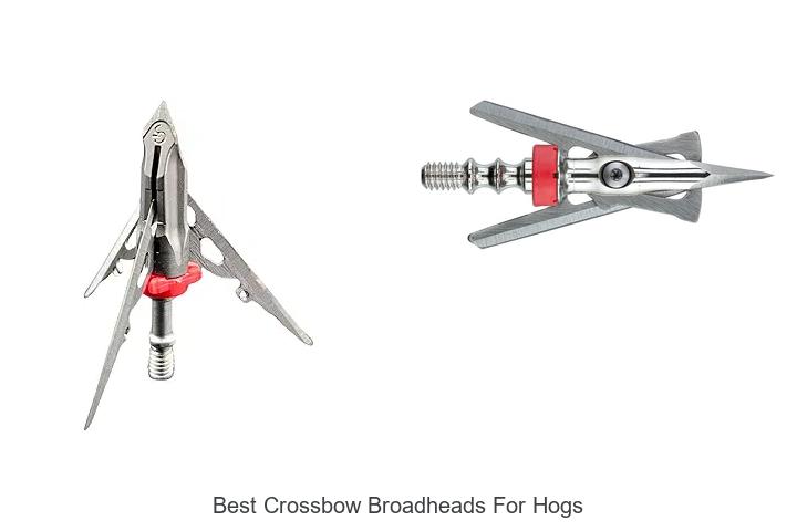 Top 12 Best Crossbow Broadheads for Hogs That Dominate!