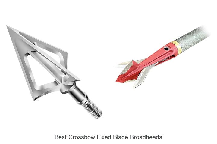 Top 12 Best Crossbow Fixed Blade Broadheads That Dominate