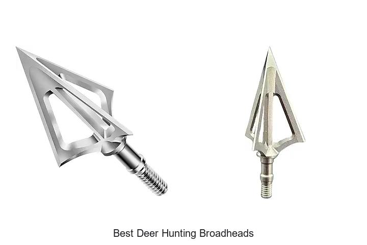 Top 12 Best Deer Hunting Broadheads That Crush Targets!