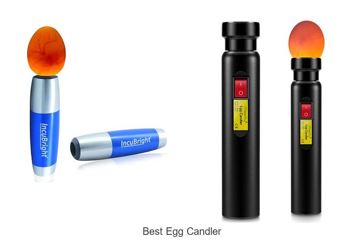Top 15 Best Egg Candler To Boost Hatching Success