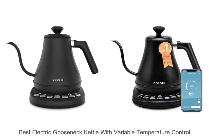 Top 15 Best Electric Gooseneck Kettle With Variable Temperature Control