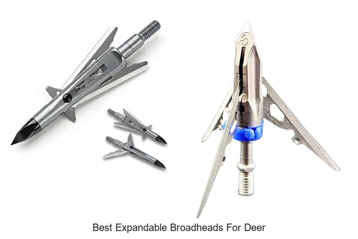 Top 12 Best Expandable Broadheads for Deer That Kill!