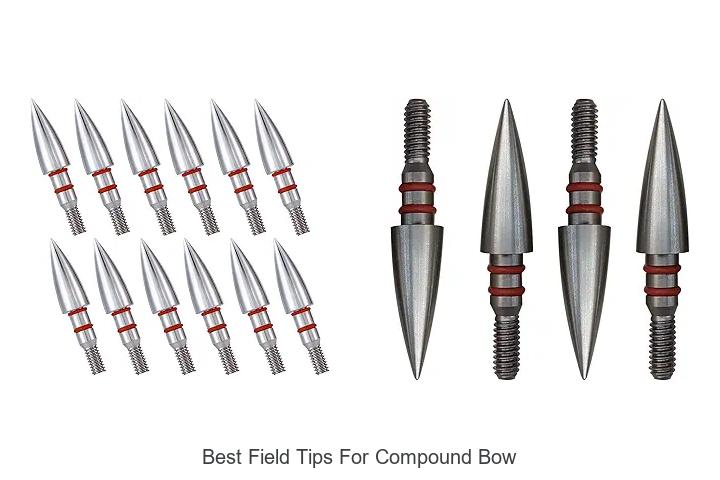 Top 12 Best Field Tips for Compound Bow That Maximize Accuracy!