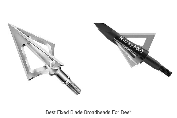 Top 12 Best Fixed Blade Broadheads For Deer That Kill Fast