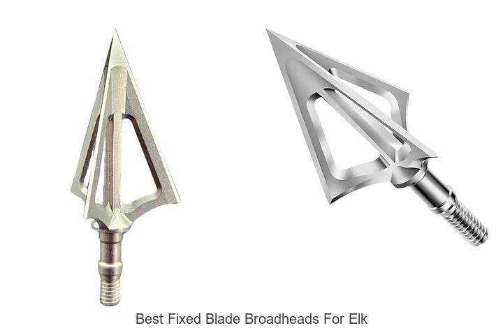 Top 12 Best Fixed Blade Broadheads for Elk That Dominate!