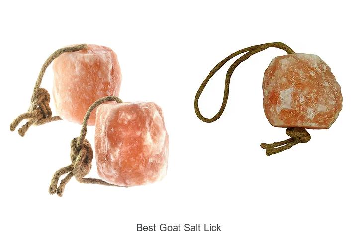 Top 13 Best Goat Salt Lick For Healthy, Happy Goats