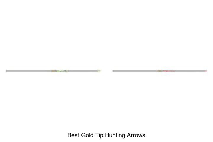 Best Gold Tip Hunting Arrows That Will Boost Your Accuracy!