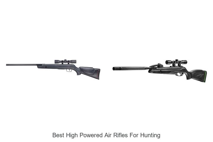 Best High Powered Air Rifles for Hunting That Dominate
