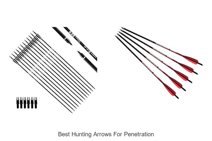 Top 12 Best Hunting Arrows for Penetration That Kill Fast