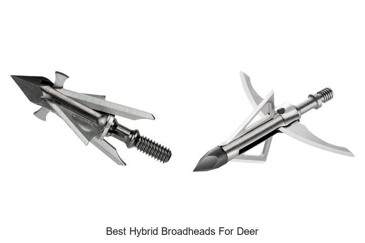 Best Hybrid Broadheads For Deer That Hunters Swear By