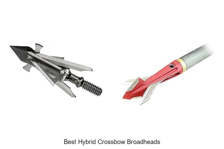 Top 12 Best Hybrid Crossbow Broadheads That Win Big