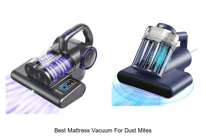 Top 15 Best Mattress Vacuum For Dust Mites You Must See