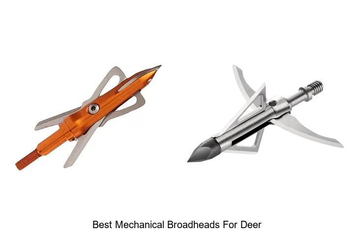 Top 12 Best Mechanical Broadheads for Deer That Kill Fast