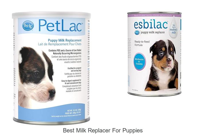 Top 15 Best Milk Replacer For Puppies You Can’t Ignore