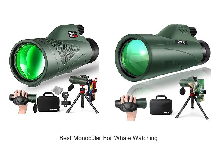 Best Monocular For Whale Watching – Must-Have Gear Now!