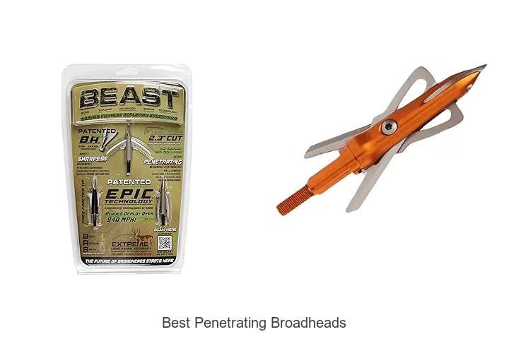 Top 12 Best Penetrating Broadheads That Will Shock You