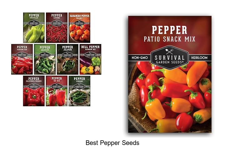 Top 12 Best Pepper Seeds For A Spicy Garden