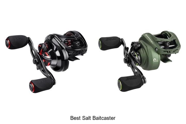 Top 12 Best Salt Baitcaster for Ultimate Fishing Success