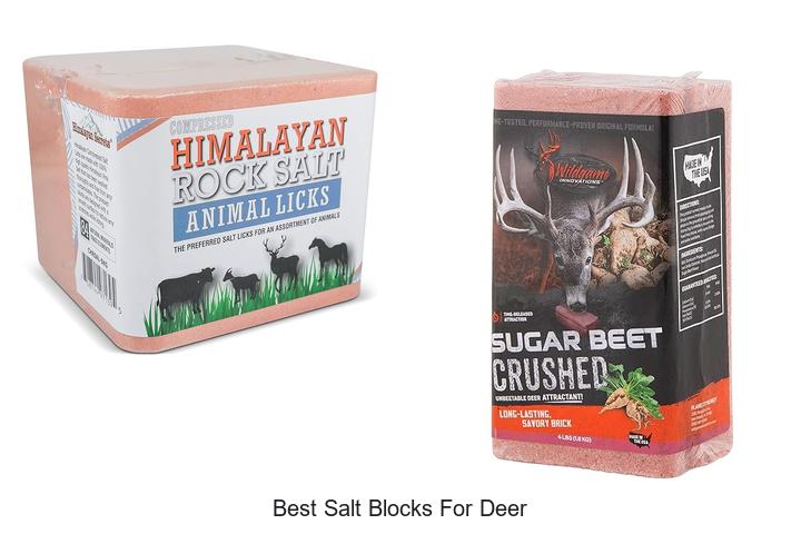 Top 15 Best Salt Blocks For Deer – Boost Your Baiting Success