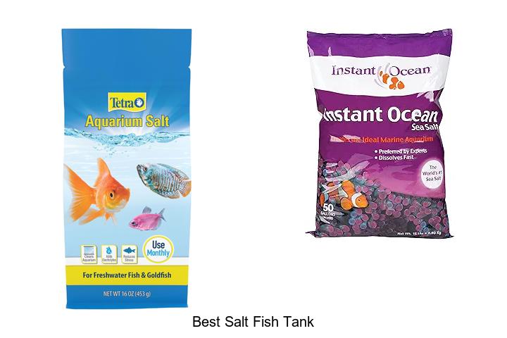 Top 12 Best Salt Fish Tank For Stunning Aquarium Displays
