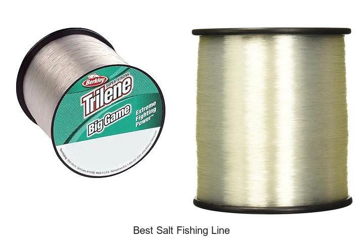Top 13 Best Salt Fishing Line For Ultimate Catch