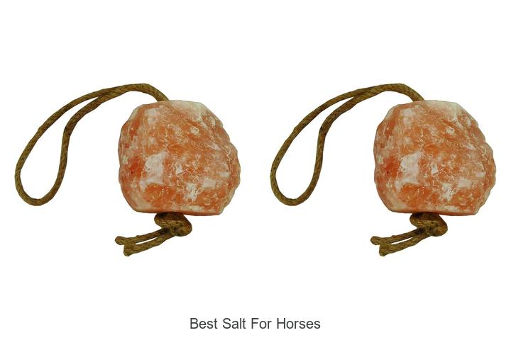 Top 15 Best Salt For Horses You Must Try Now