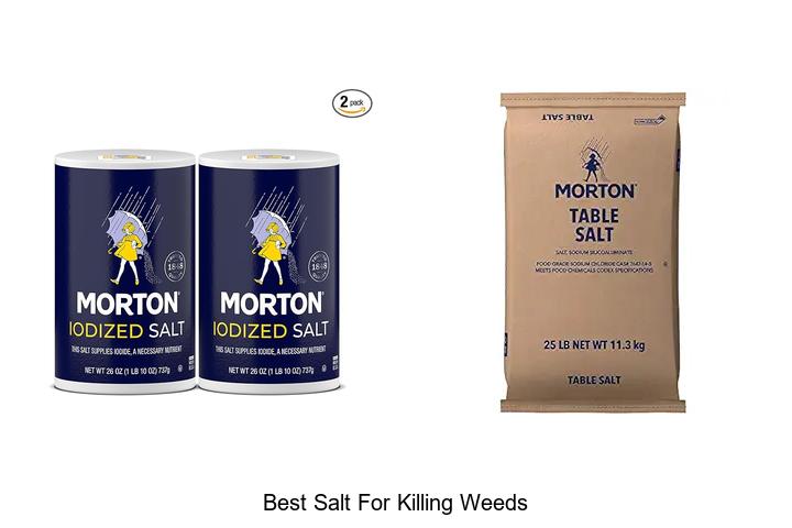Top 12 Best Salt For Killing Weeds That Work Fast