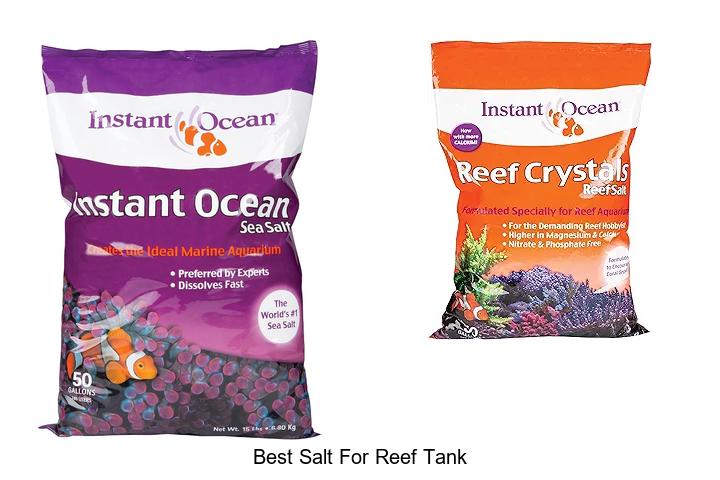 Top 12 Best Salt For Reef Tank You Must Try Now